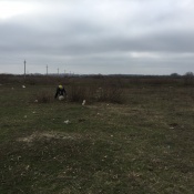 Субботник